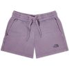 The North Face Heritage Dye Logowear Shorts