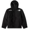 The North Face Gore-Tex Mountain Guide Jacket